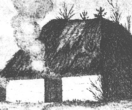 house with thatch roof