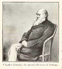 Charles Darwin, the grand old man of biology
