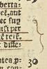 Sharp’s underlining, at cap. 29 of Magna Carta