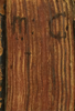  Fore-edge, showing lettering
